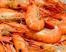 �����Ϻ������