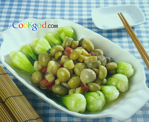 �ı���ʱ�ߵ�����