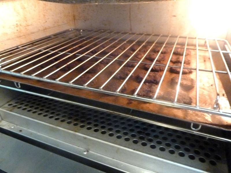 �ڿɿ�Ҭ�ӱ��ɵ�����