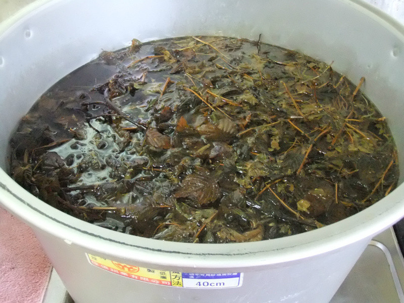 ��ͳ�ɲݲ�DIY������