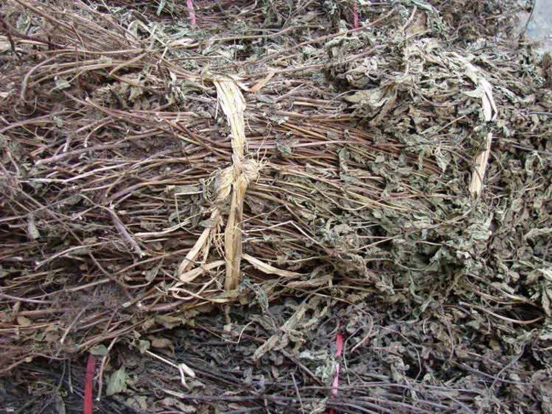 ��ͳ�ɲݲ�DIY������