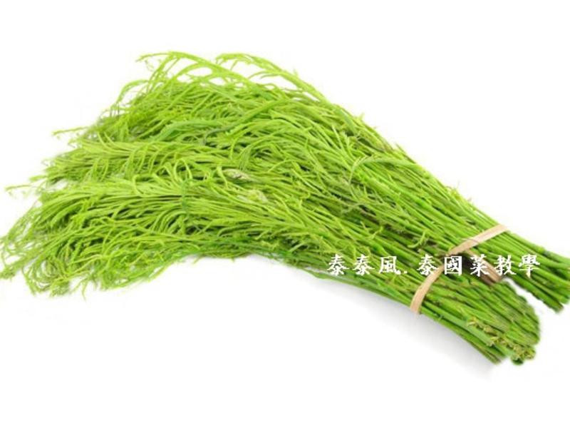 ̩�����˼嵰������