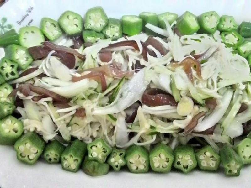 ̩ʽ�����������