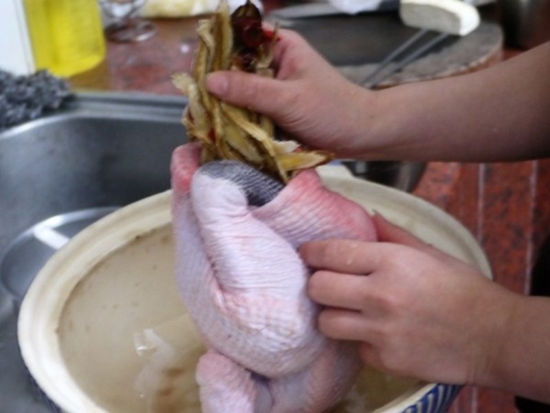 �������-���㼦��������