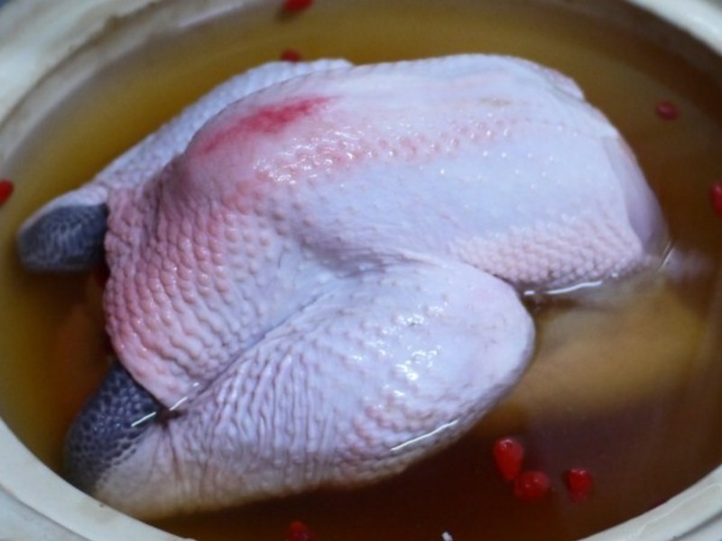 �������-���㼦��������