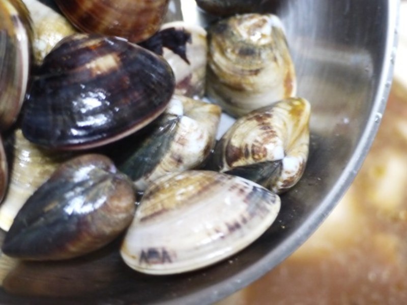 �������-���㼦��������