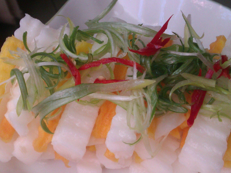 ��˿����ɽҩ������