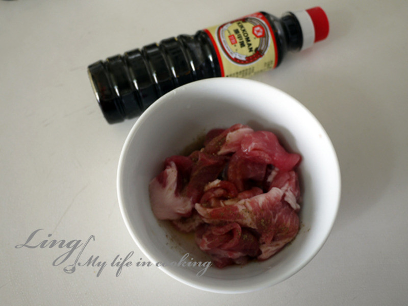 ��ʽ�˱��˵�����