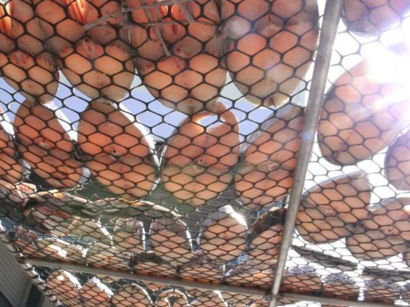 �㿾��ζ��������