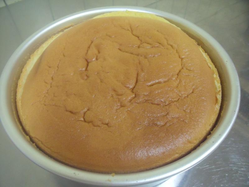 ������-����޻����������