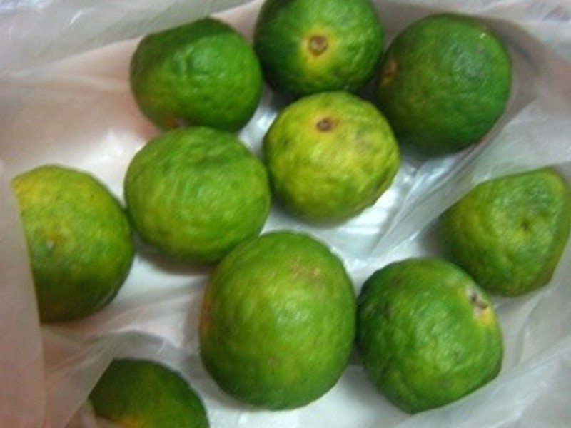 AMħ��~ӡ��ɳ��-Gado Gado������