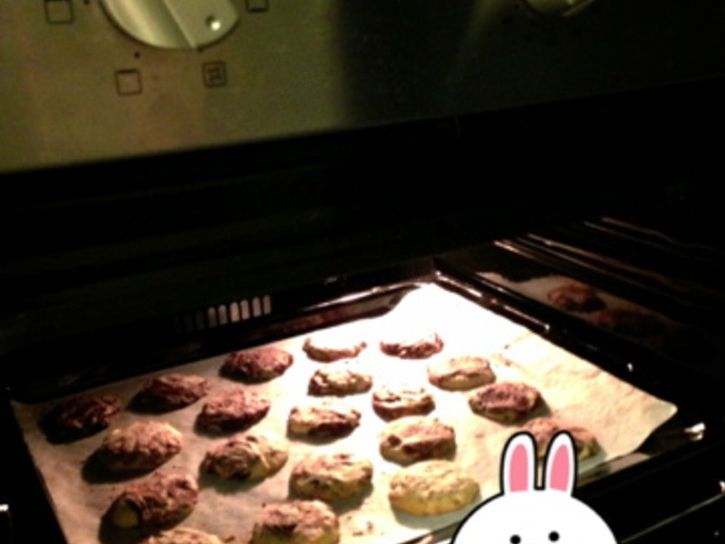 �ɿ�������˫ɫ���ɵ�����