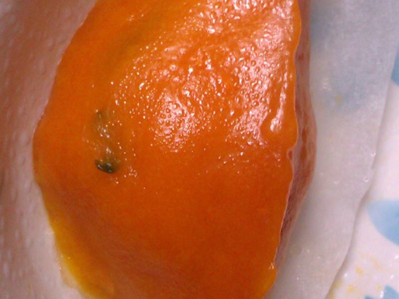 ��?�Ϲ�����-�Ϲϲ˰�������