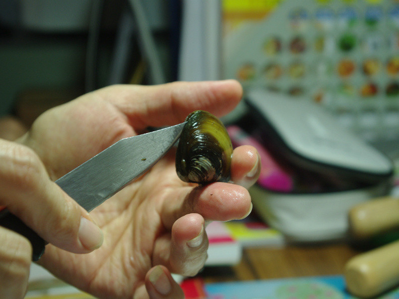 ��ѧ���¾Ʋ�....����е�����