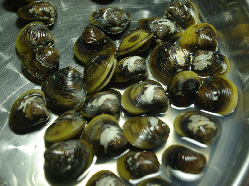 ��ѧ���¾Ʋ�....����е�����