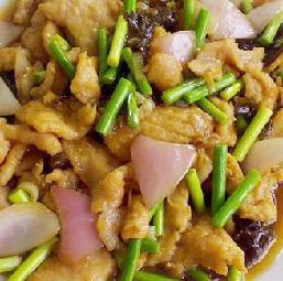 ɽ�������������