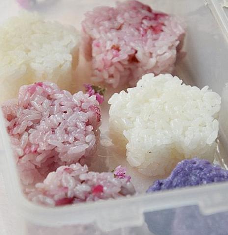 ��ɫ���ŵ�����