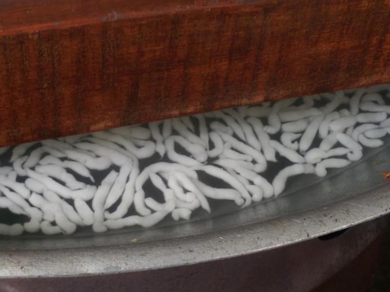 �����ֹ���̦Ŀ������