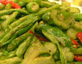 ������ϵ�����