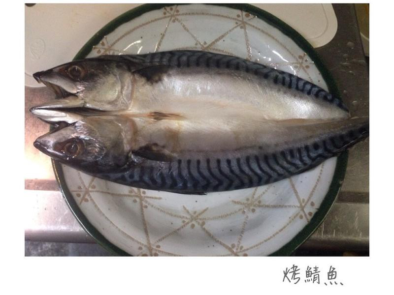 ���￾�ⱸ�ϵ�����