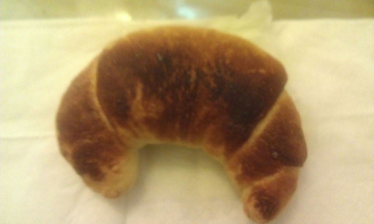 ����ţ�����������