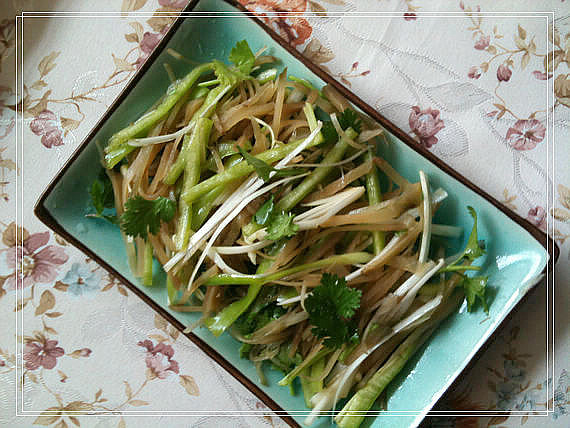 ������˿ ��������