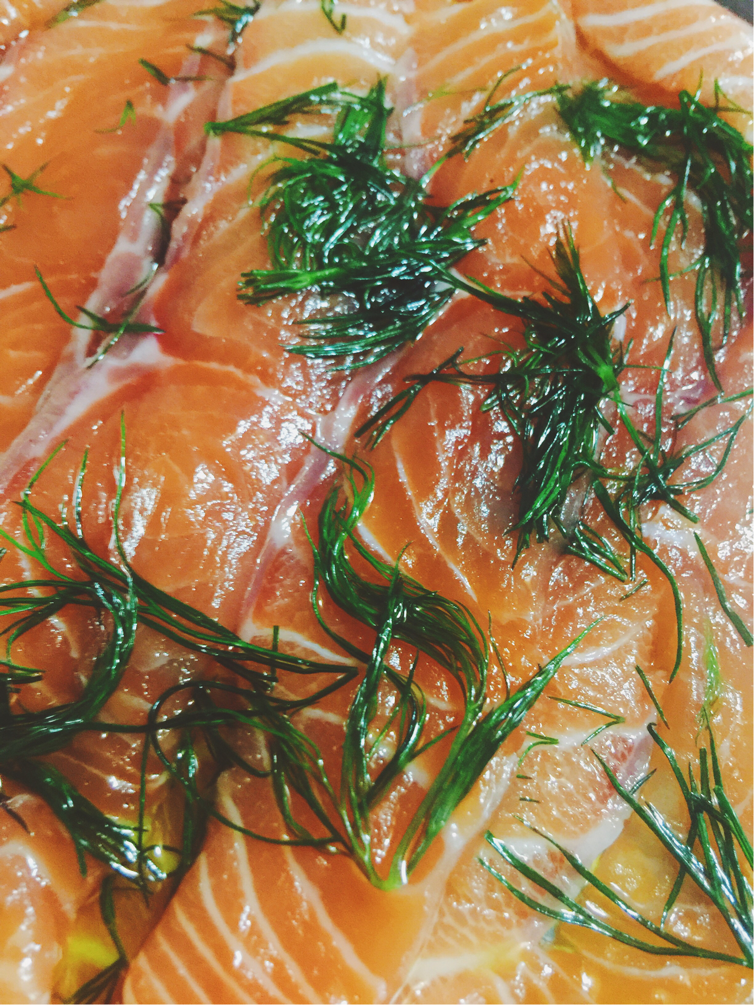 ݪ���������������