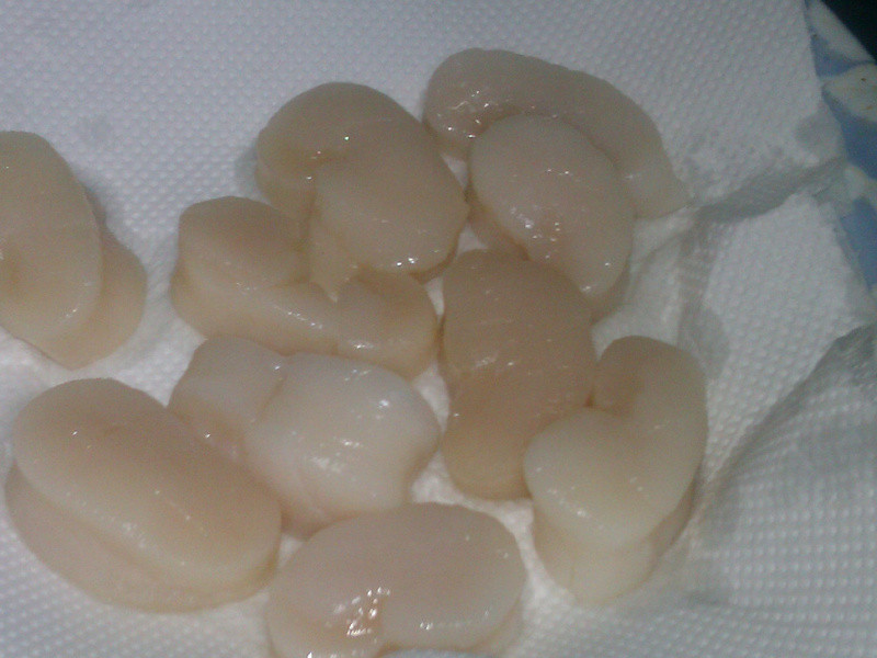 XOϺ�����ɱ�����������