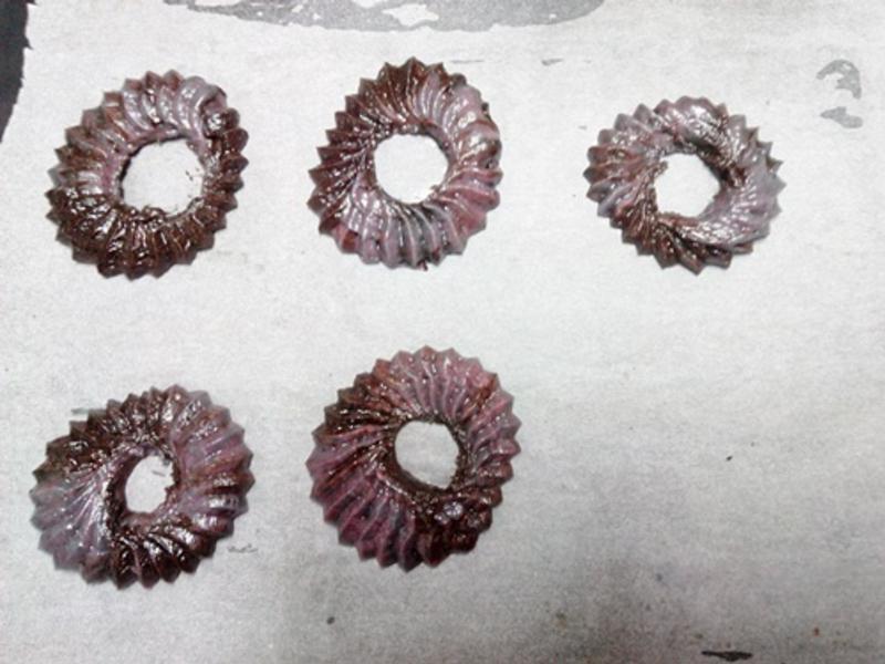 ħ�������������������