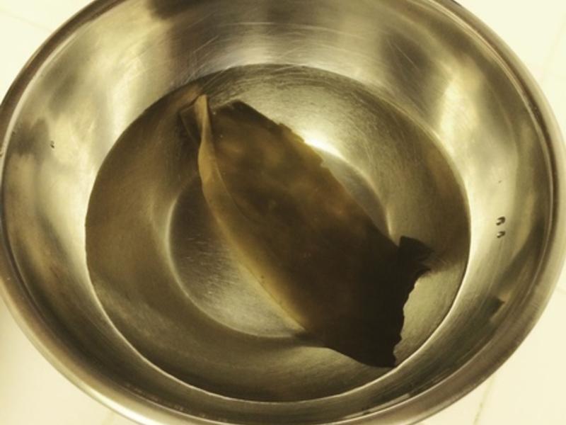 ����������Ȫ��������