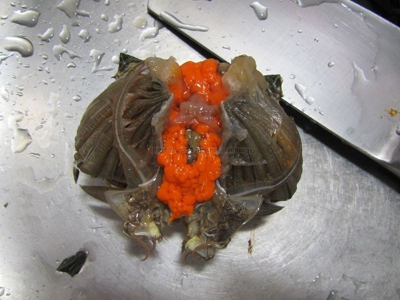 [һз����]ζ��з�Ŷ�����������