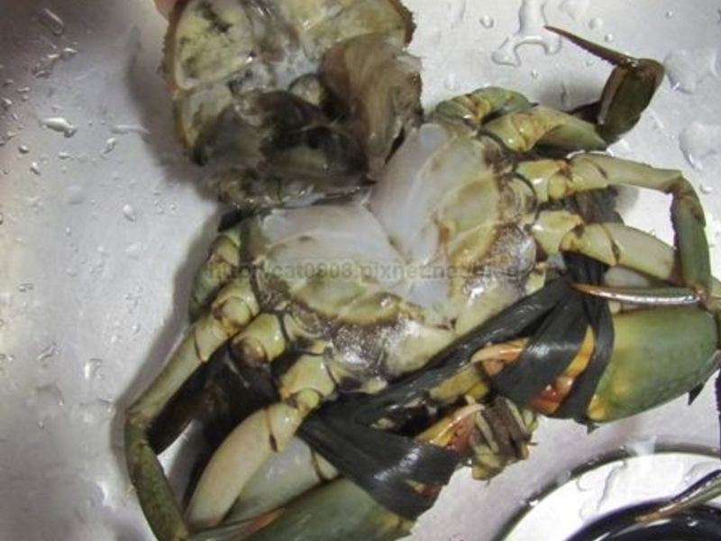 [һз����]ζ��з�Ŷ�����������