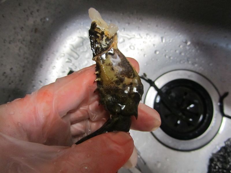 [һз����]ζ��з�Ŷ�����������