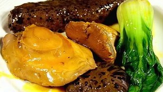 ���ΰ��֭������