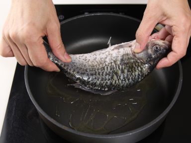 ���Ĳ�������������