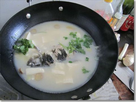 �������˶���������������