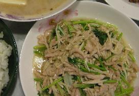 �α���˿���������