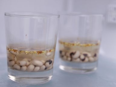 ��ɫ���𻨆�ଵ�����