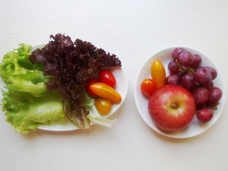 ����ʽ�͵���������