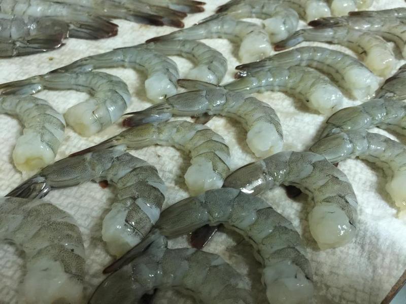 ��ʽ�����츾�޵�����