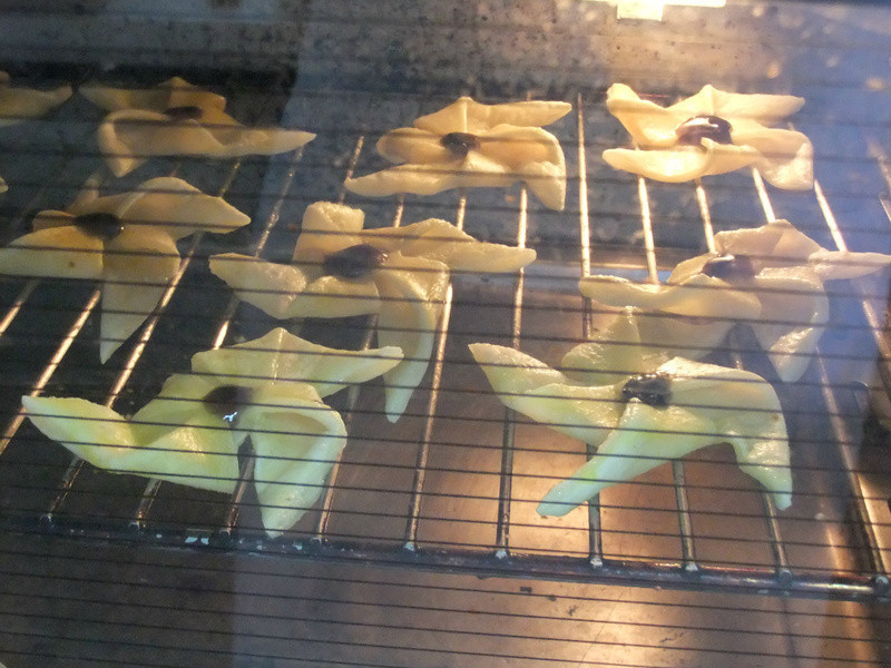 ����С�糵���ֱ�������