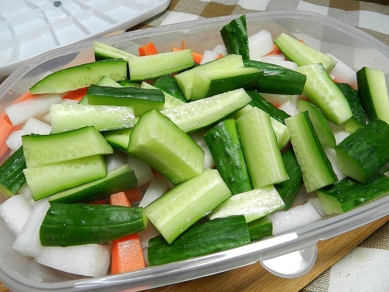 Food Saver����~��ʽ�ݲ˵�����