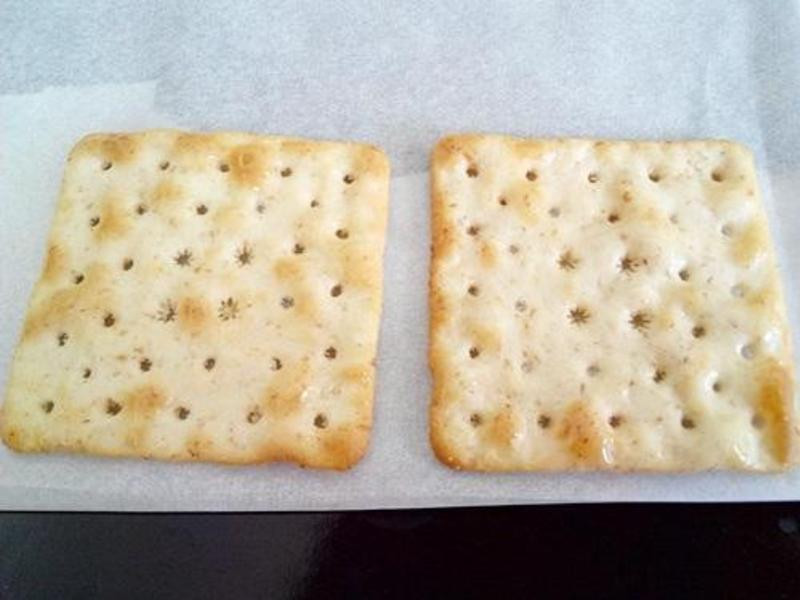 �մ�����ƻ���ɡ���Ȼ���ձ���ſ��������