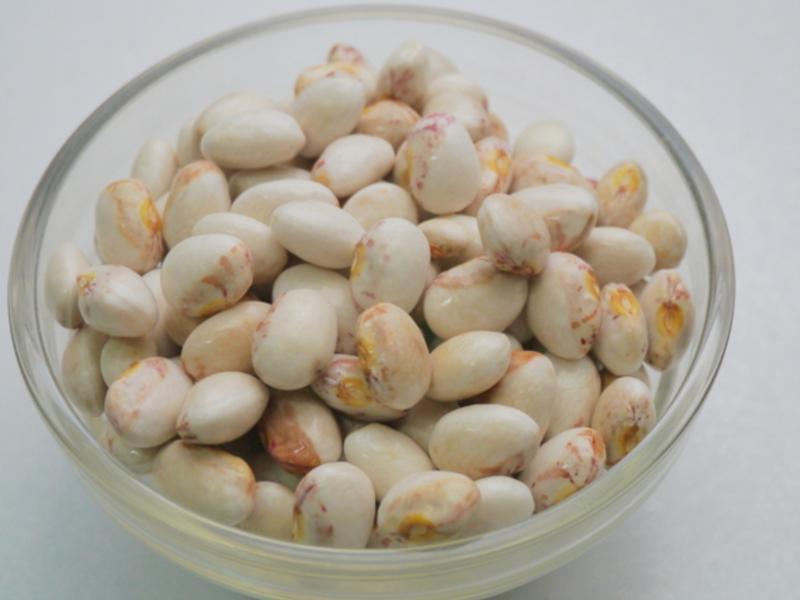 �����Ź���������