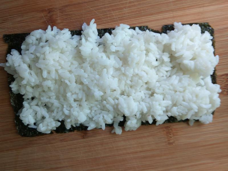 ��ʽ�ݲ��ⷹ�ŵ�����