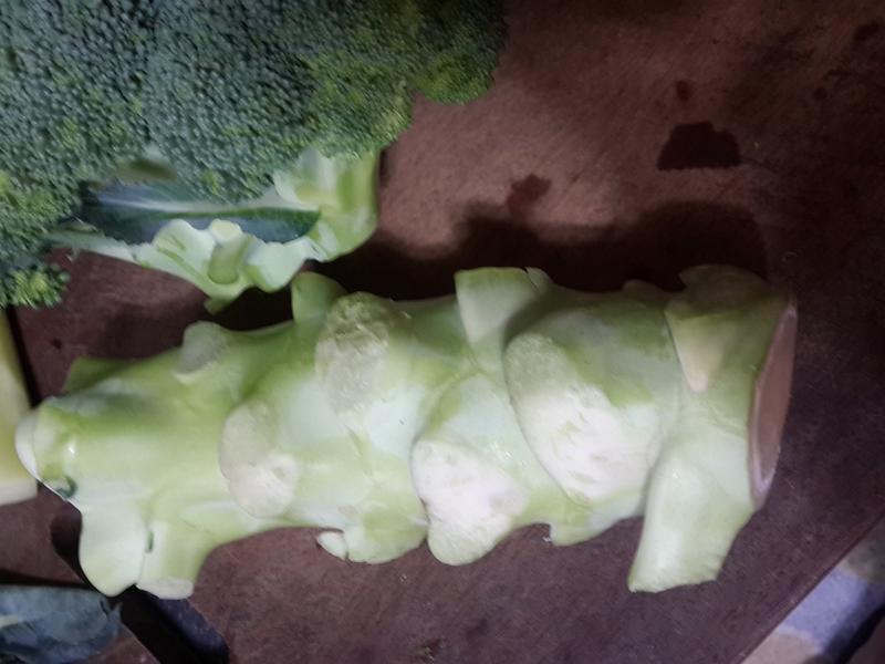 ������Ҭ���ĵ�����