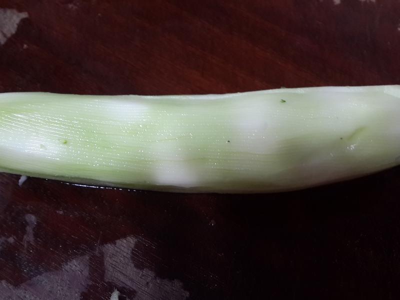 ������Ҭ���ĵ�����