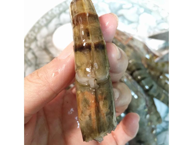 �����б���Ϻ������