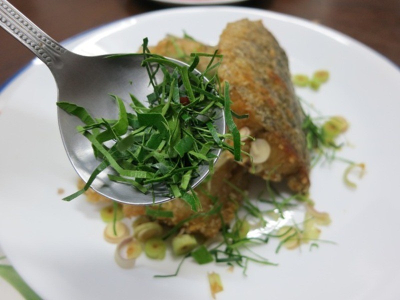 ̩����ը�������