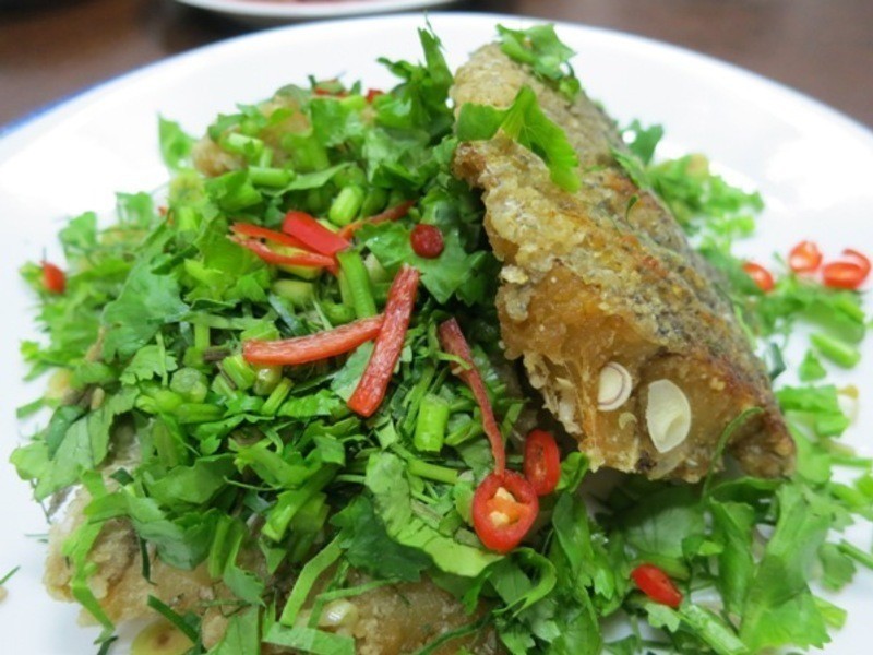 ̩����ը�������